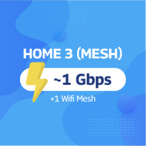 HOME 3 (Mesh)